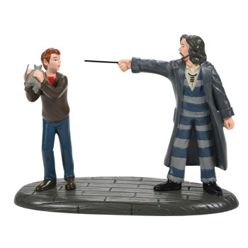 Gift Harry Potter Village Come Out and Play, Peter Village Accessory Book